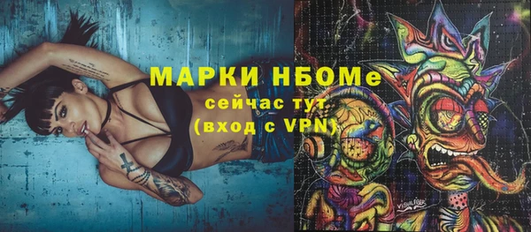 гашик Аркадак
