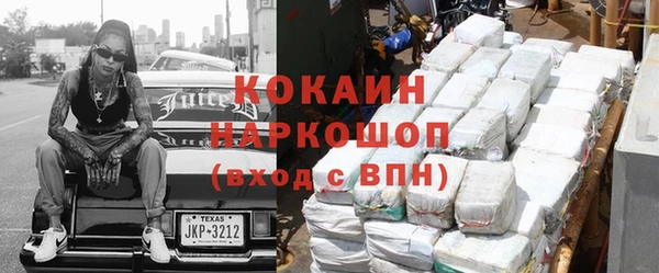 гашик Аркадак