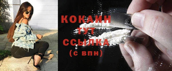 гашик Аркадак