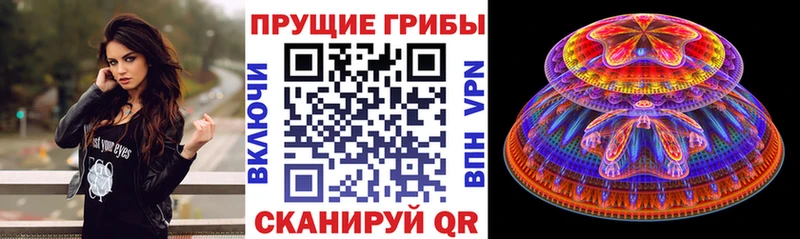 МЕГА ссылки  Ужур  Галлюциногенные грибы прущие грибы  закладка 
